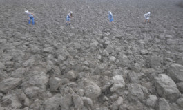 Field Narratives
