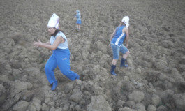 Field Narratives