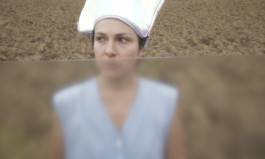 Field Narratives