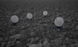 Field Narratives