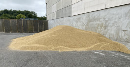  A large pile of seeds on a concrete compound