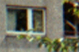  a blurred photo of a window from a resident building, leaves grow over it